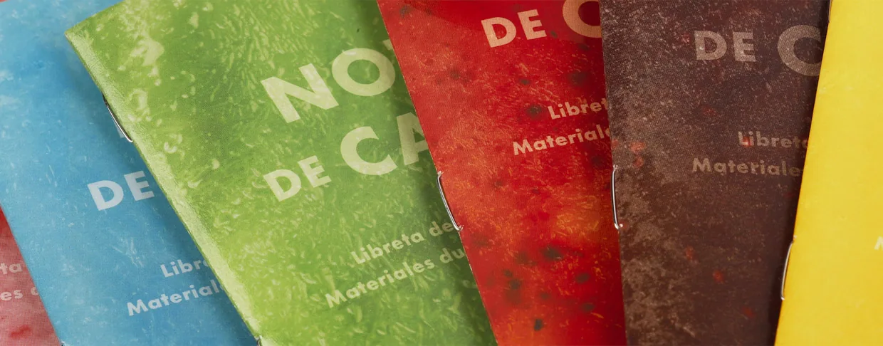 Field Notes Paletas Journals