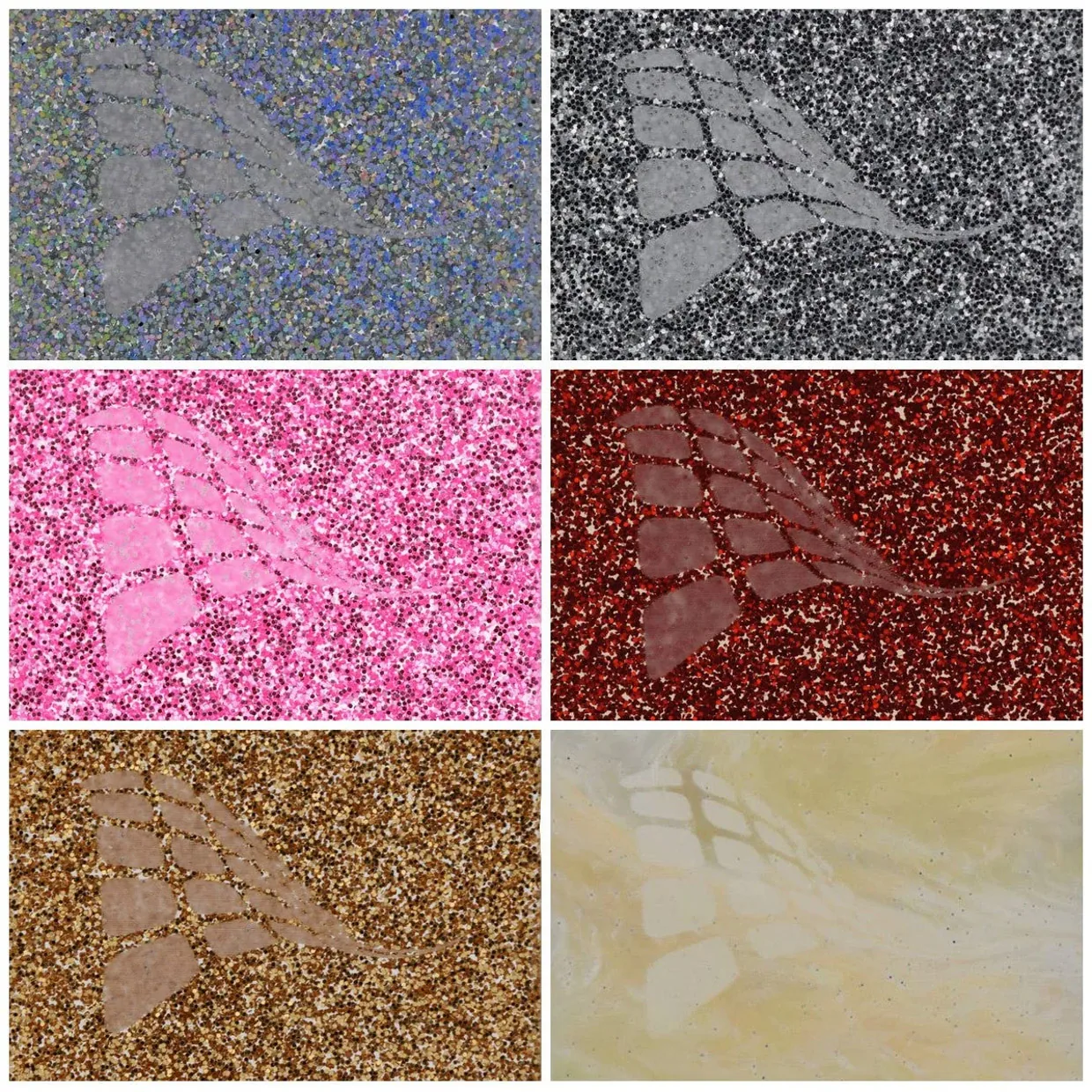 Acrylicrafts Acrylic Sheets