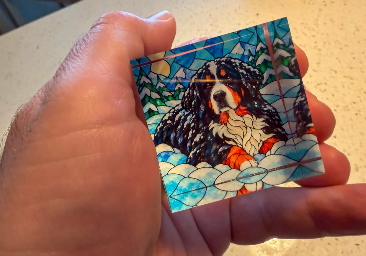 Clever Corgi Custom Acrylic Pet + People Portraits