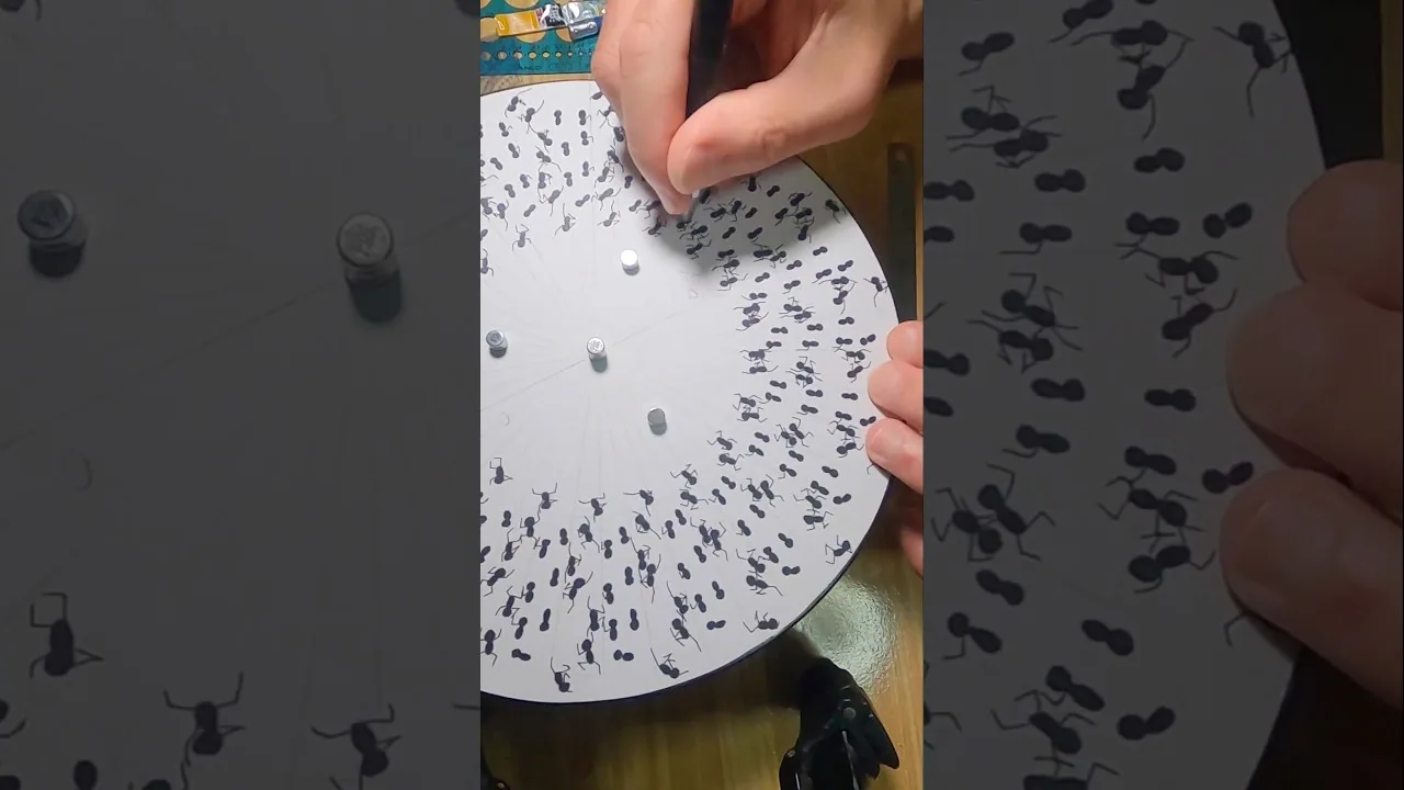 Ants Dance on a Turntable