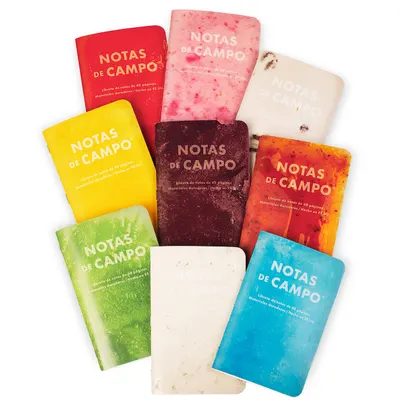 Field Notes Paletas Journals